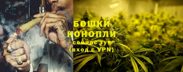 амф Пестово