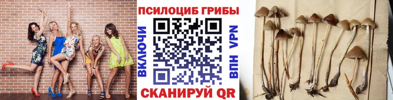 Псилоцибиновые грибы Magic Shrooms  цена   Сафоново 