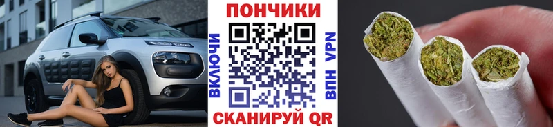Бошки Шишки план  Сафоново 